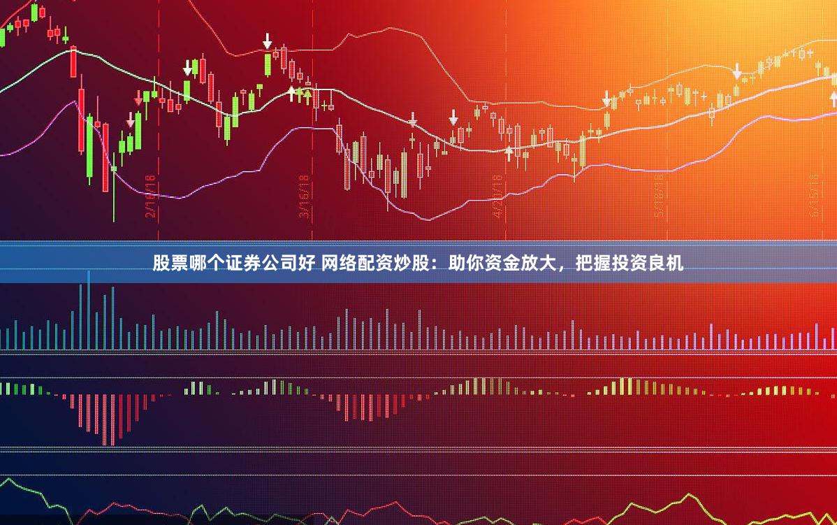 股票哪个证券公司好 网络配资炒股：助你资金放大，把握投资良机